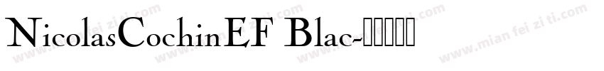 NicolasCochinEF Blac字体转换